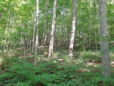 815 Days Run Rd, Fairview, WV 26570 - photo 7