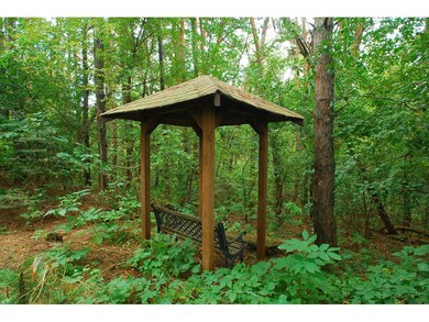 Captivating park-like property! Summertime hiking 