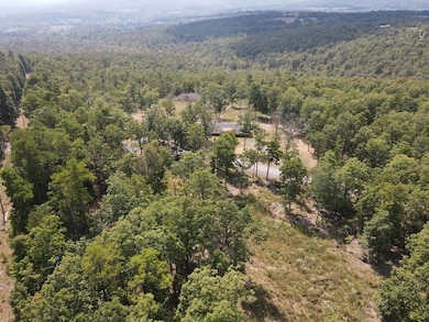 291 Wildwood Ln, Marshall, AR 72650 - photo 2