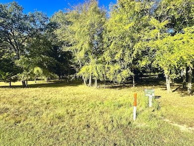 Lot 65 Sombrilla Ln, Kerens, TX 75144 - photo 2