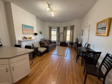 670 Tremont St unit 7, Boston, MA 02118 - photo 4