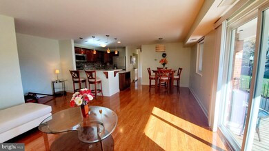 210 Victor Pkwy unit H, Annapolis, MD 21403 - photo 7