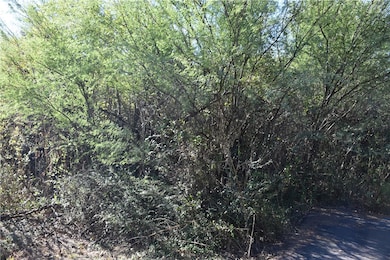 3600 Hawks St, Bryan, TX 77808 - photo 6