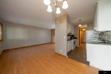 13221 Glenn St unit 4B, Omaha, NE 68138 - photo 6