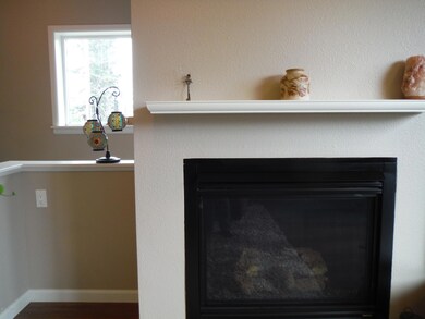 Propane Fireplace