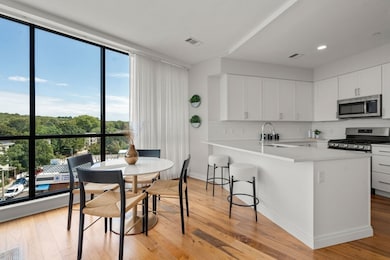 Vita JP unit 411, Jamaica Plain, MA 02130 - photo 6