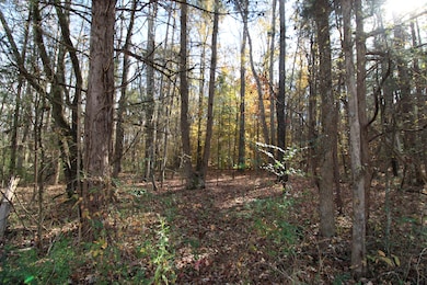 6.5 + - Ac Bookout Rd, Rock Hill, SC 29730 - photo 3