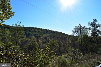 Lot 4 Buck Mountain Rd, Bentonville, VA 22610 - photo 2
