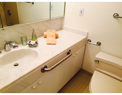 Wellesley Green Condominiums unit 4, Wellesley, MA 02482 - photo 7