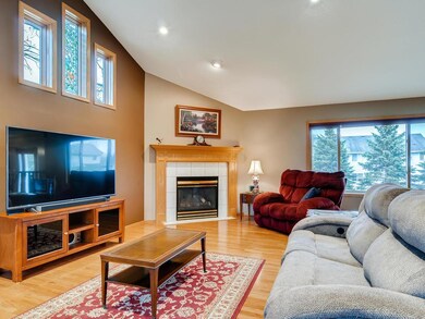 1352 155th Avenue NW Andover-006-006-Living Room-M