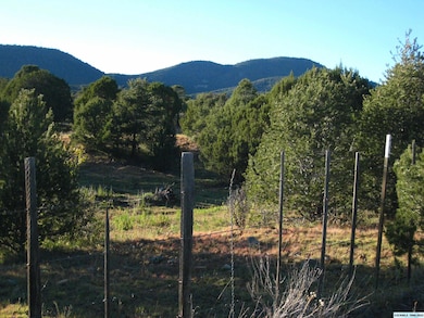 XX Linda Dr, Silver City, NM 88061 - photo 5