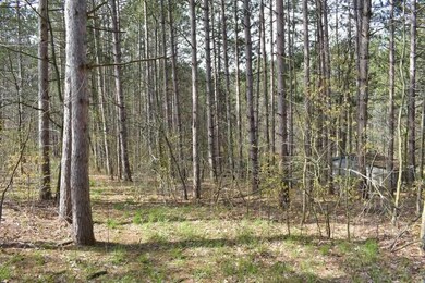 9917 Maple Grove Rd, Charlevoix, MI 49720 - photo 5