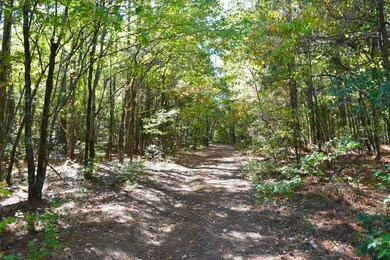 1350 Grover Wilson Rd, Blythewood, SC 29016 - photo 2