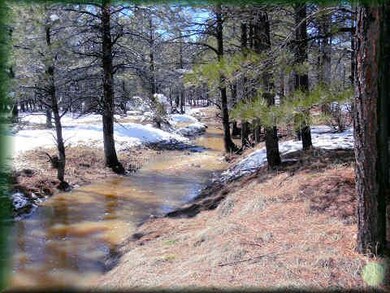 seasonal creek/snow melt