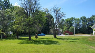 Pear tree from back