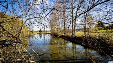 The Pond with Fish and Ducks