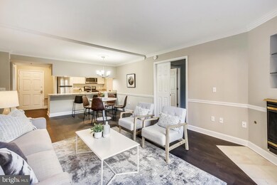 The Williamsburg unit 308, Arlington, VA 22201 - photo 6