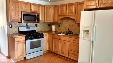 319 Harbison Dr, Bitely, MI 49309 - photo 6