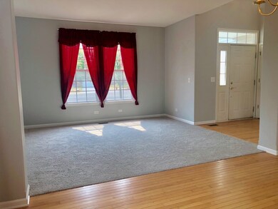 New Carpet & New Paint