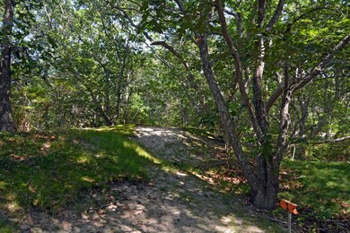 5-106 Lighthouse Rd, Aquinnah, MA 02535 - photo 7
