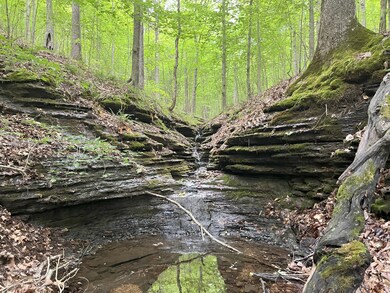 0 Treadwell Prong unit RTC2707562, Linden, TN 37096 - photo 4