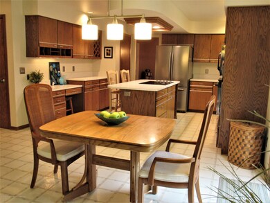 Kitchen View 2