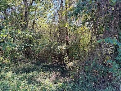 TBD W Main St, Barnesville, OH 43713 - photo 4