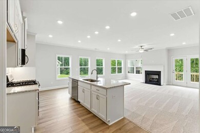 550 Azalea Crossing, Dallas, GA 30132 - photo 6