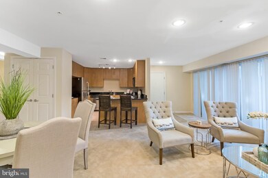 1138 Cove Rd unit 101, Annapolis, MD 21403 - photo 4