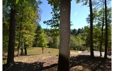 Additional View