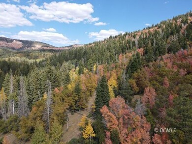 Aerial photo from late fall