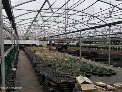 Green House Inside 3