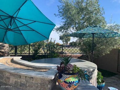 Tranquil Backyard