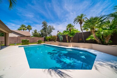 Gorgeous backyard w pool