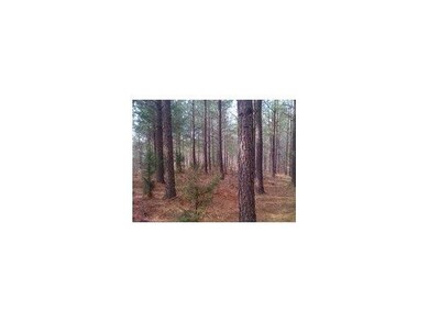 0 Cannonball Rd unit 78225, Elon, NC 27244 - photo 2