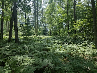 perfect building spot