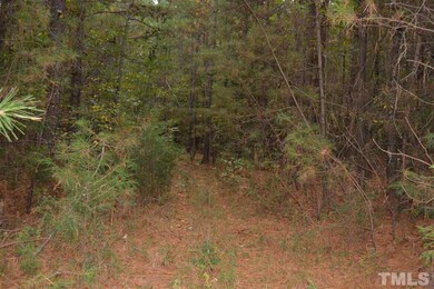 0 Pete Roberson Rd, Pittsboro, NC 27312 - photo 7