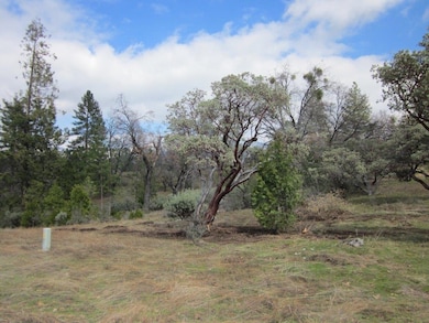 0 Hard Times Ranch unit 628016, North Fork, CA 93643 - photo 5