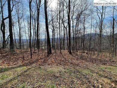 TBD Dr, Crumpler, NC 28617 - photo 4