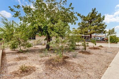 17 E Loma Linda Blvd-26
