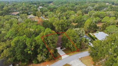 9221 SW 193rd Cir, Dunnellon, FL 34432 - photo 7