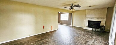 19085 State Highway C, Advance, MO 63730 - photo 7