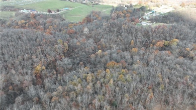 199 Bellbridge Rd, Elizabeth, PA 15037 - photo 5