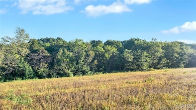 View of wooded area featuring a rural view