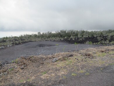 0 Paradise Pkwy unit 670031, Ocean View, HI 96737 - photo 3