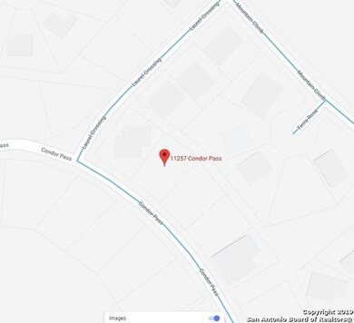 11257 Condor Pass, Helotes, TX 78023 - photo 3