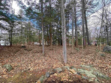 Lot 49 Windsor Way Poplar Cir unit 49, Barnstead, NH 03225 - photo 2