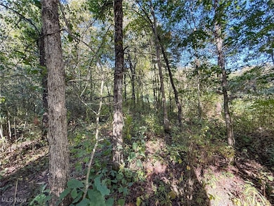 0 Country Rd, Rumley Township, OH 43986 - photo 5