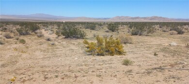 0 Joshua Tree Rd unit IG25042001, Johnson Valley, CA 92285 - photo 2
