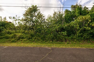 0 Nahokulele St unit 719960, Pahoa, HI 96778 - photo 3